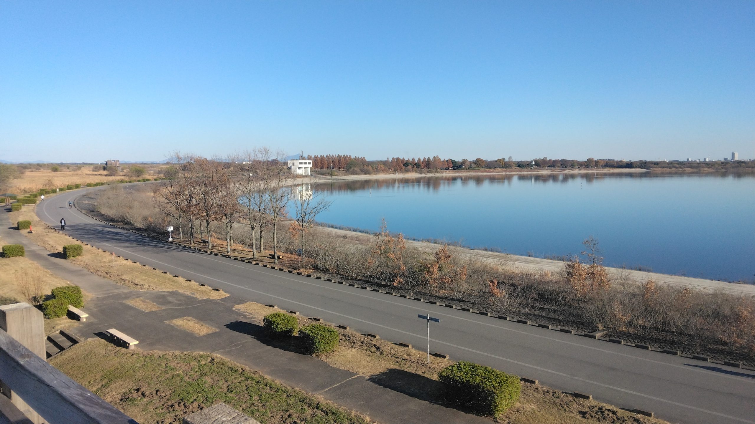 渡良瀬遊水地・谷中湖ランニングコースを走ってみた〜関東随一の広大な
